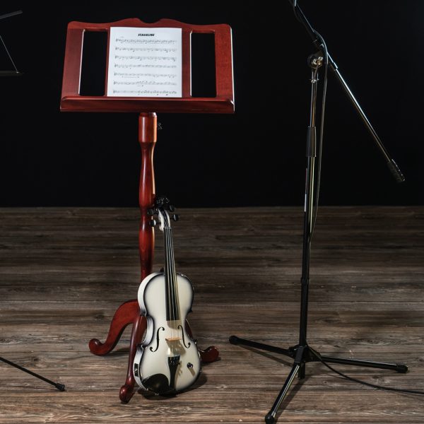 full view of Stageline wooden music stand beside violin and microphone stand